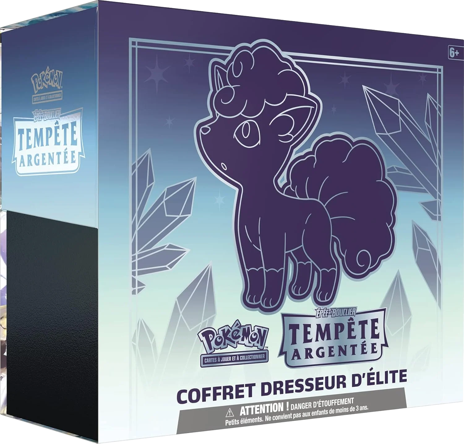Coffret Dresseur d'Élite Pokémon — Tempête Argentée (EB12) — français
